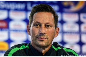 关于今夜突围战来临，北京国安围绕荷甲伤情更新，质疑声仍在，阵容厚度经受考验的信息-华体会娱乐网站